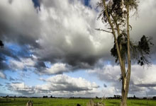 MK体育官网：莫兰德16分11篮板 广东28分大胜送四川10连败.