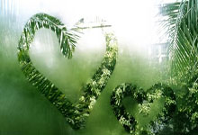 MK体育官网：国际奥委会主席巴赫宣布不再连任.