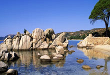 [CBA]常规赛12月9日：吉林VS山东 集锦.